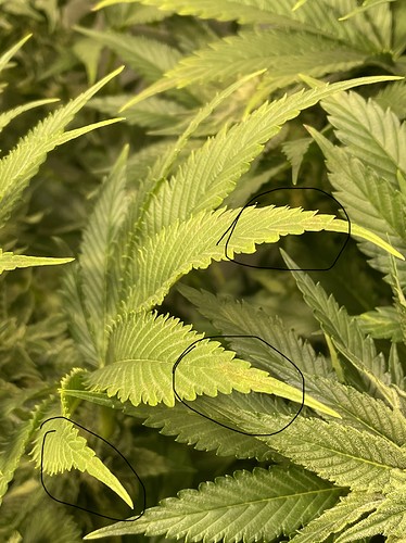 Growreport Bild 12