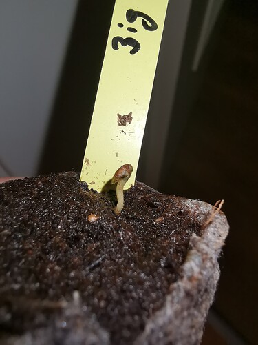 Growreport Bild 92