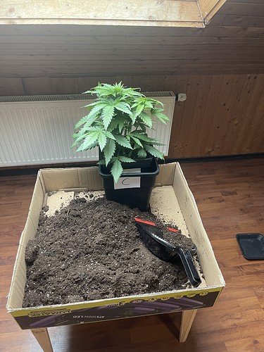 Growreport Bild 16