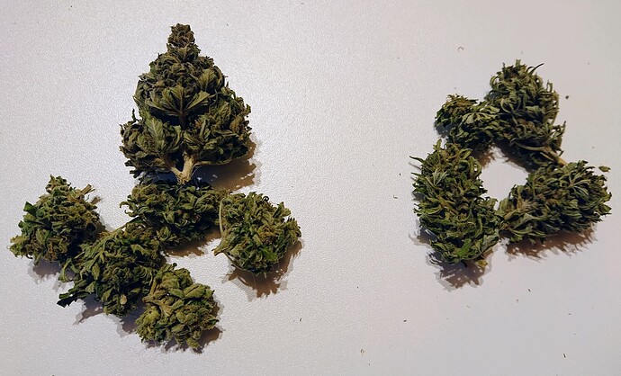 Growreport Bild 6