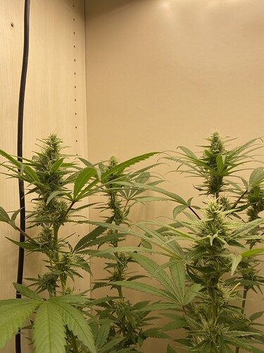 Growreport Bild 12