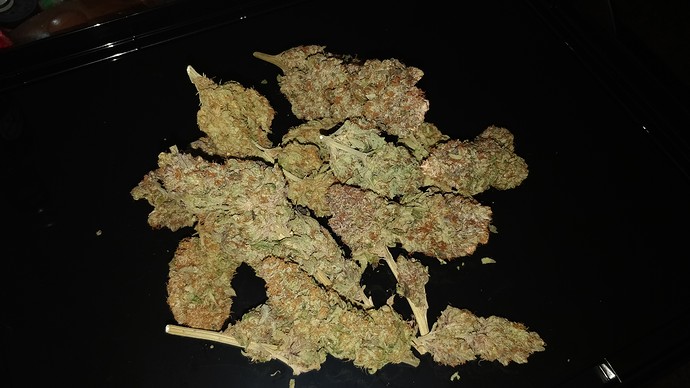 Growreport Bild 4