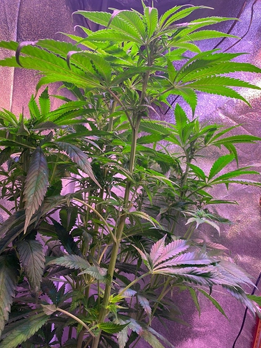 Growreport Bild 11