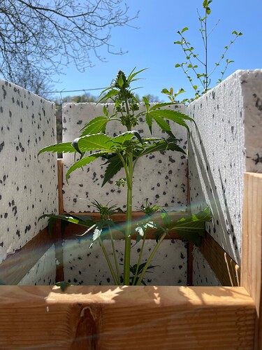 Growreport Bild 29
