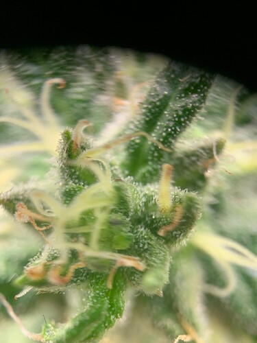 Growreport Bild 11