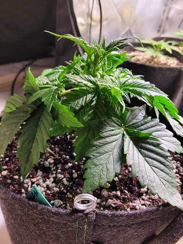 Growreport Bild 15