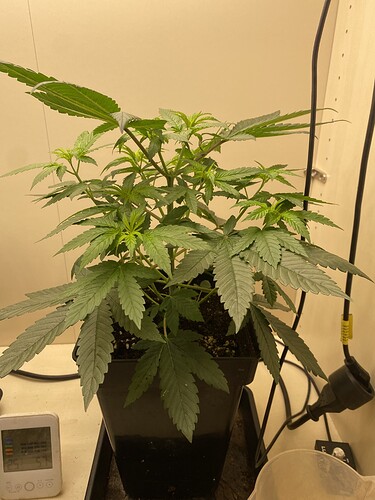 Growreport Bild 6