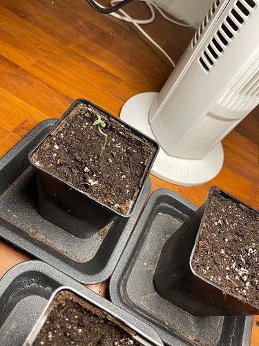 Growreport Bild 4