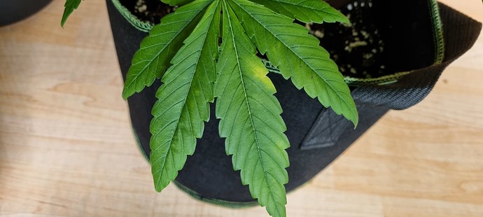 Growreport Bild 16