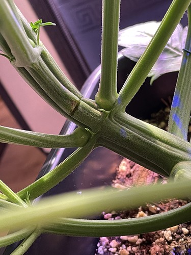 Growreport Bild 5