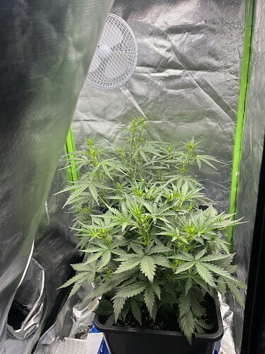 Growreport Bild 12