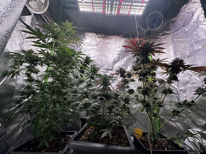 Growreport Bild 22