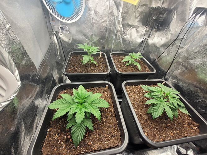 Growreport Bild 13