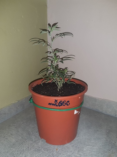 Growreport Bild 14