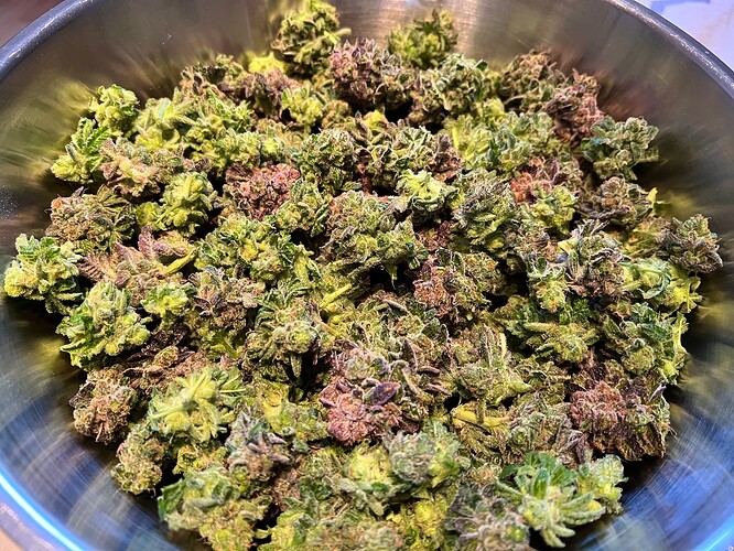 Growreport Bild 5