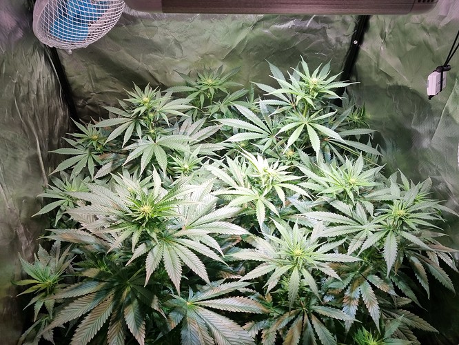 Growreport Bild 12