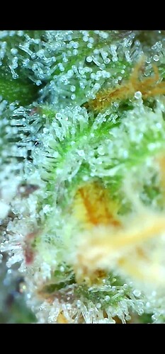 Growreport Bild 11