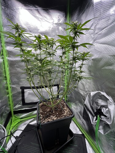 Growreport Bild 8