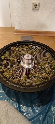 Growreport Bild 10