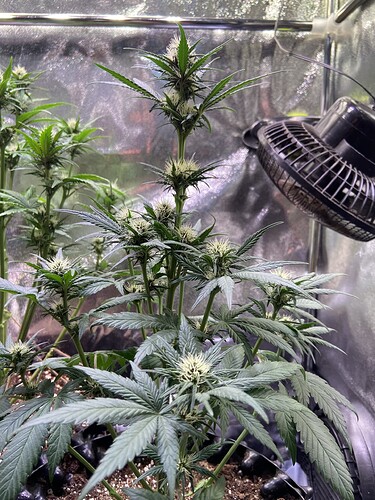 Growreport Bild 18