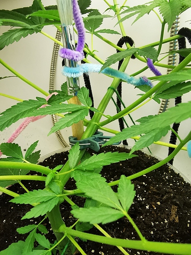 Growreport Bild 9