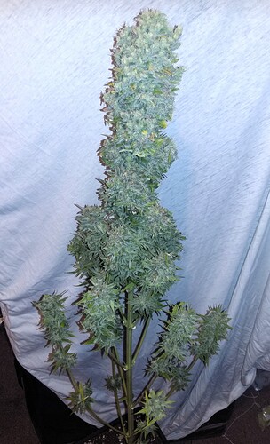 Growreport Bild 14