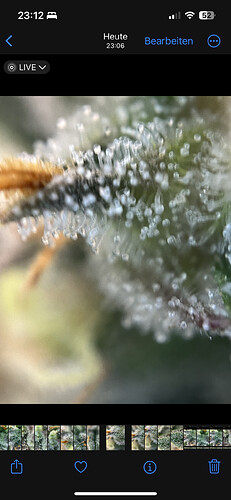 Growreport Bild 40