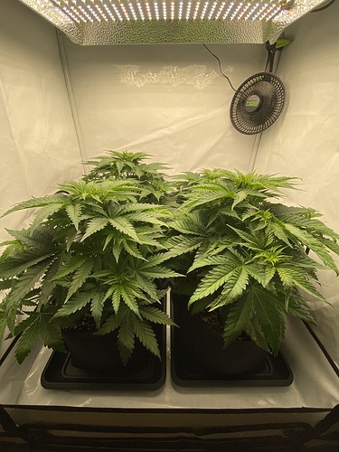 Growreport Bild 10