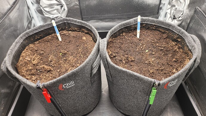 Growreport Bild 5