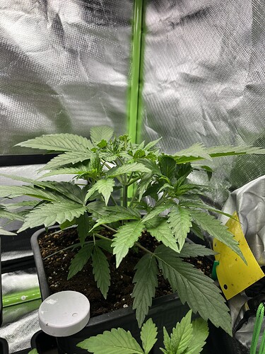 Growreport Bild 8