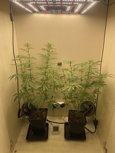 Growreport Bild 12