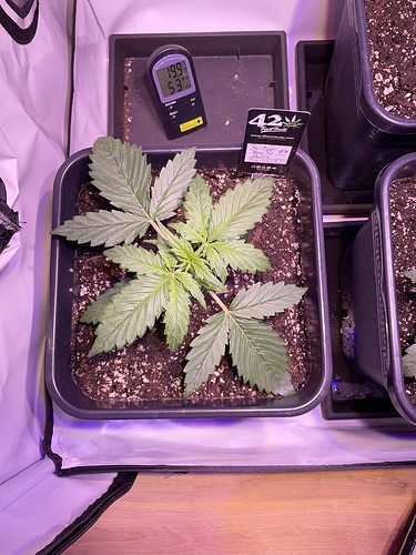 Growreport Bild 15