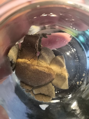 Growreport Bild 7