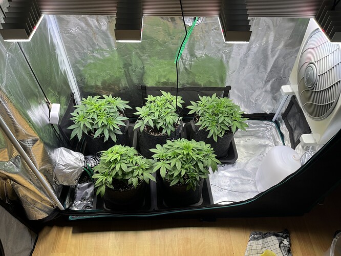 Growreport Bild 8