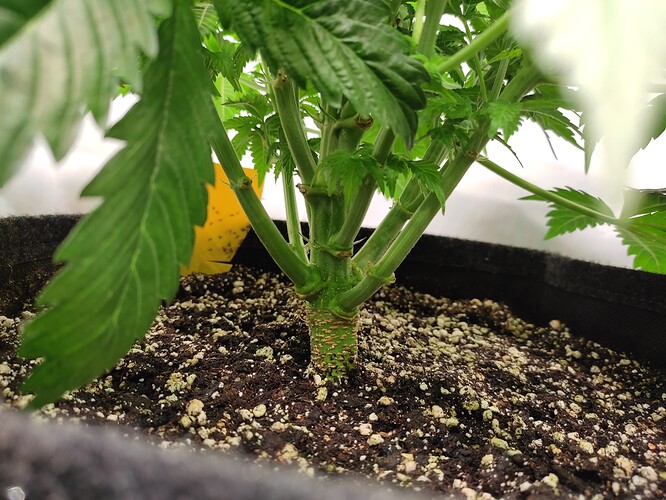 Growreport Bild 15