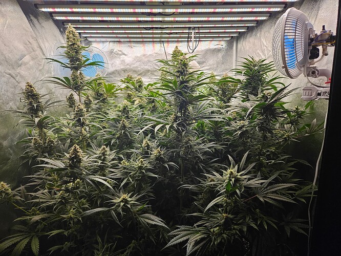 Growreport Bild 9