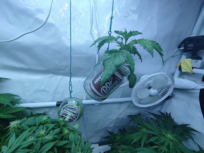 Growreport Bild 58
