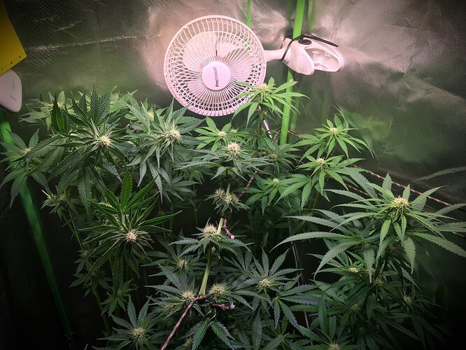 Growreport Bild 15