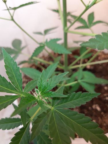 Growreport Bild 14