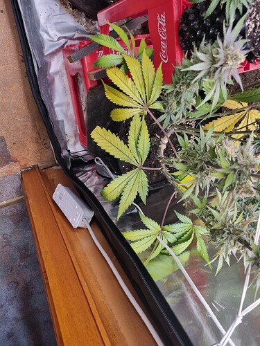 Growreport Bild 14