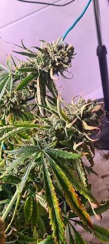 Growreport Bild 33