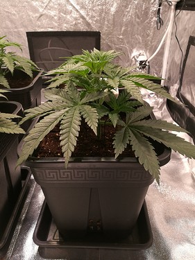 Growreport Bild 14