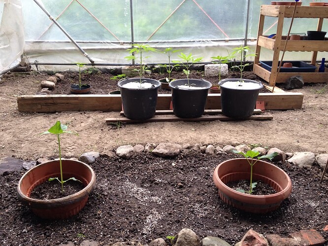 Growreport Bild 23