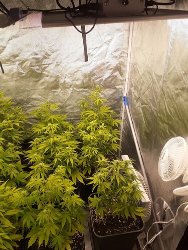 Growreport Bild 2