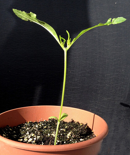 Growreport Bild 26