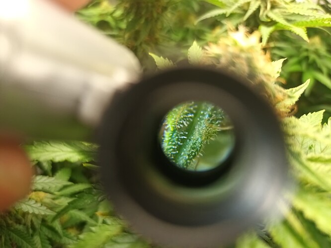Growreport Bild 12