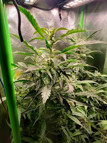 Growreport Bild 5