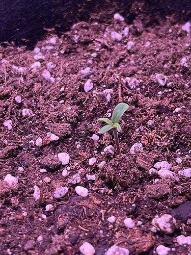Growreport Bild 10