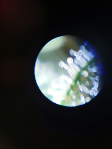 IMG_20201207_184311