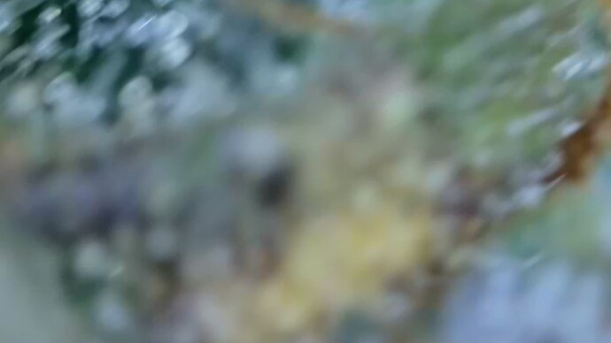 Growreport Bild 36